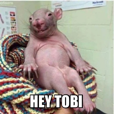 hey-tobi