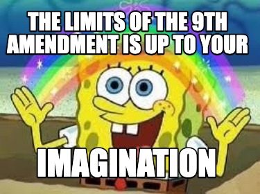 Meme Creator - Funny the limits of the 9th amendment is up to your ...