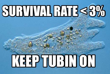 survival-rate-3-keep-tubin-on