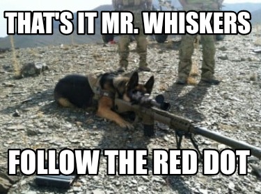 thats-it-mr.-whiskers-follow-the-red-dot