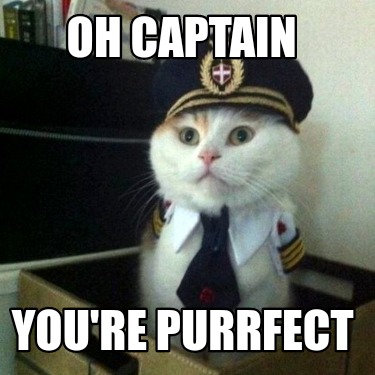 Meme Creator - Funny Oh Captain You're purrfect Meme Generator at ...