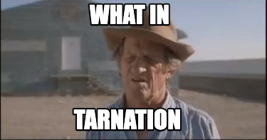 what-in-tarnation6