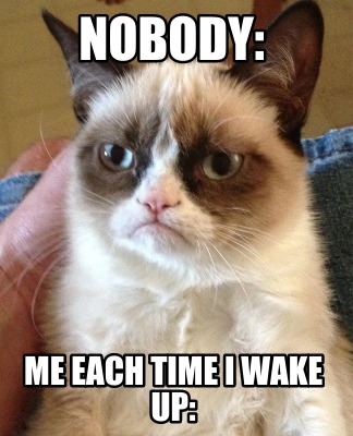 Meme Creator - Funny nobody: me each time i wake up: Meme Generator at ...