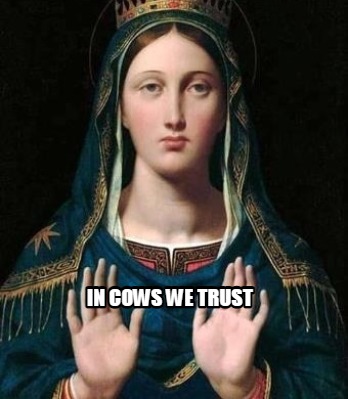 in-cows-we-trust