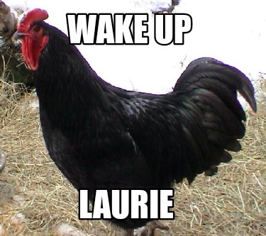 wake-up-laurie