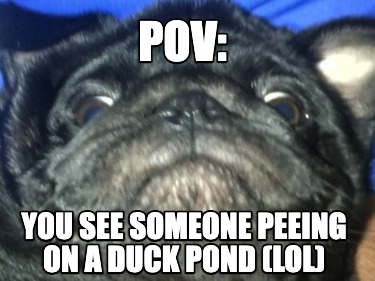 pov-you-see-someone-peeing-on-a-duck-pond-lol