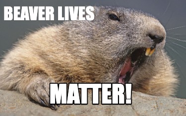 beaver-lives-matter6