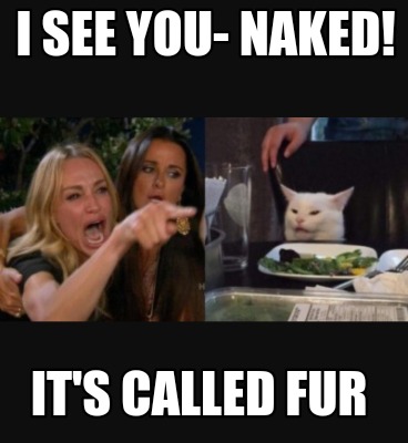 Meme Creator Funny I See You Naked It S Called Fur Meme Generator At Memecreator Org