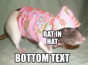 rat-in-hat-bottom-text