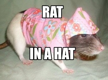 rat-in-a-hat