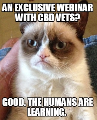 Meme Creator - Funny An exclusive webinar with CBD Vets? Good. The ...