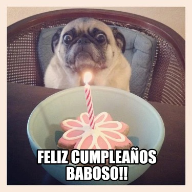 Meme Creator Funny Feliz Cumplea Os Baboso Meme Generator At