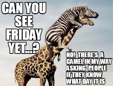 Meme Creator - Funny Can you see Friday Yet...? No! There's a camel in ...