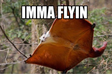 imma-flyin