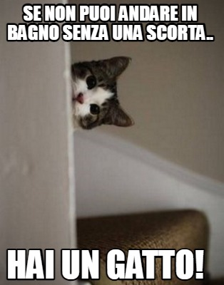 Meme Creator Funny Se Non Puoi Andare In Bagno Senza Una Scorta Hai