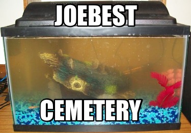 joebest-cemetery