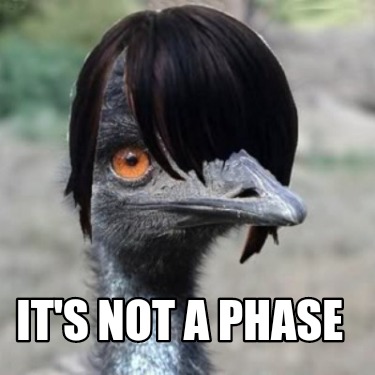 its-not-a-phase