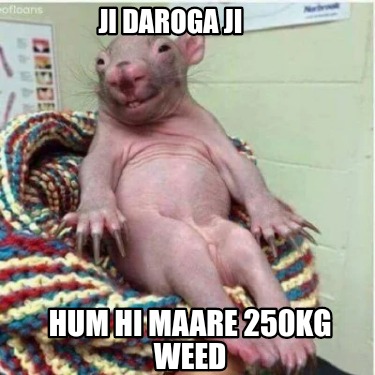 ji-daroga-ji-hum-hi-maare-250kg-weed