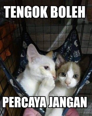 tengok-boleh-percaya-jangan