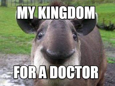 my-kingdom-for-a-doctor