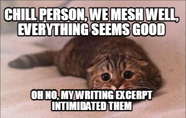 chill-person-we-mesh-well-everything-seems-good-oh-no-my-writing-excerpt-intimid