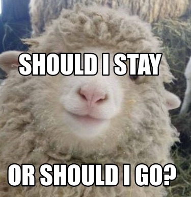 Meme Creator - Funny Should I stay Or should I go? Meme Generator at ...