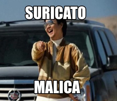 suricato-malica5
