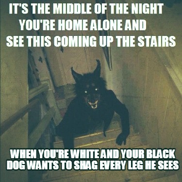 when-youre-white-and-your-black-dog-wants-to-shag-every-leg-he-sees