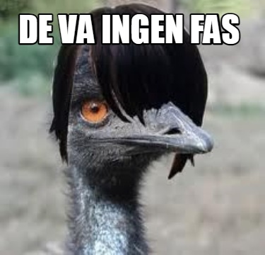 de-va-ingen-fas