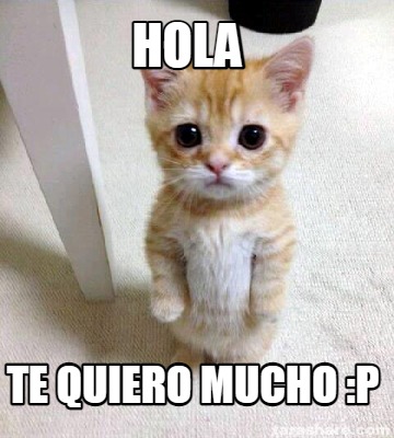 Meme Creator - Funny Hola Te quiero mucho :p Meme Generator at  !