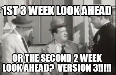 1st-3-week-look-ahead-or-the-second-2-week-look-ahead-version-3