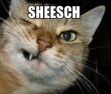 sheesch