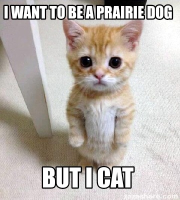 Meme Creator - Funny I want to be a prairie dog But I cat Meme ...