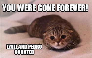 you-were-gone-forever-lyall-and-pedro-counted