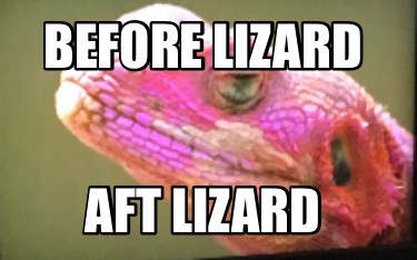 Meme Creator - Funny Before lizard Aft lizard Meme Generator at ...