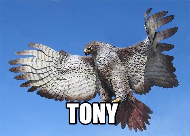 tony8