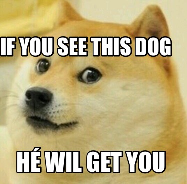 Meme Creator - Funny If you see this dog Hé wil get you Meme Generator ...