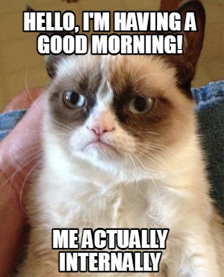 Meme Creator - Funny Hello, I'm having a good morning! Me actually ...