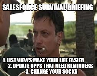 salesforce-survival-briefing-1.-list-views-make-your-life-easier-2.-update-opps-