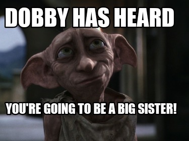 Meme Creator - Funny Dobby has heard You're going to be a Big Sister ...