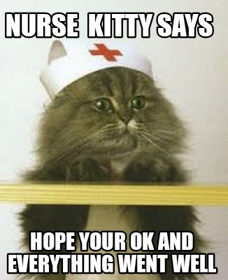nurse-kitty-says-hope-your-ok-and-everything-went-well