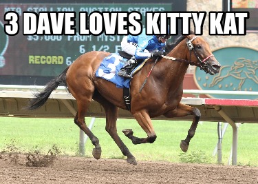 3-dave-loves-kitty-kat