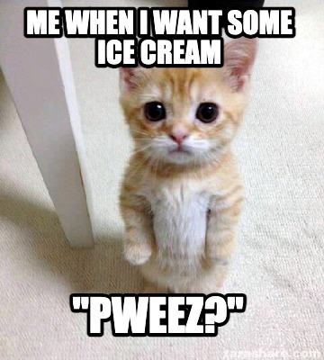 Meme Creator Funny Me When I Want Some Ice Cream Pweez Meme