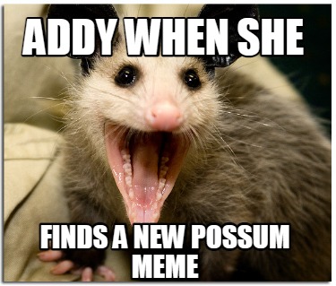 Meme Creator - Funny Addy when she finds a new possum meme Meme ...