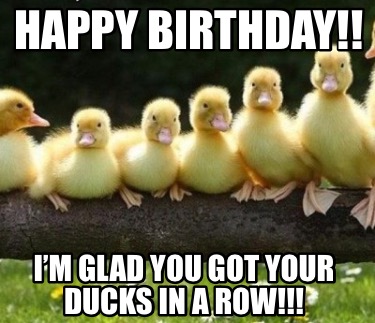 Meme Creator - Funny Happy Birthday Diane! You’ve got your ducks in a ...