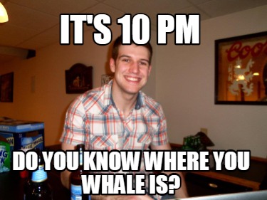 its-10-pm-do-you-know-where-you-whale-is