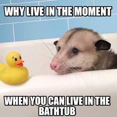 why-live-in-the-moment-when-you-can-live-in-the-bathtub