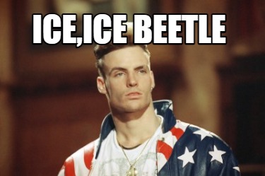 Meme Creator - Funny ICE,ICE Beetle Meme Generator at MemeCreator.org!