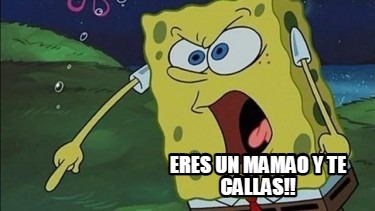 Meme Creator Funny Eres Un Mamao Y Te Callas Meme Generator At