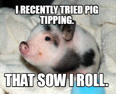 i-recently-tried-pig-tipping.-that-sow-i-roll